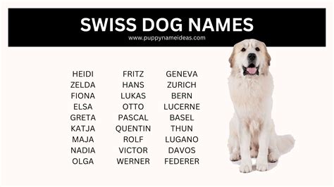 Switzerland Dog Names 